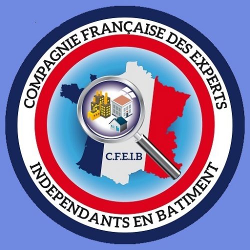 LOGO-CFEIB site LOGO-CFEIB site